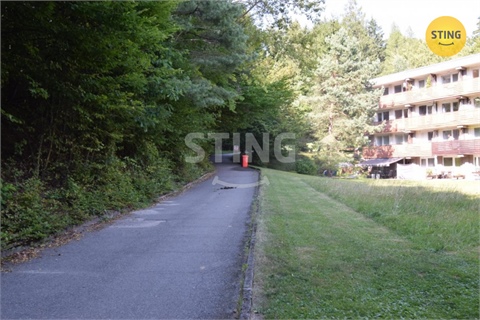 Pronájem bytu 1kk, 24 m² 12