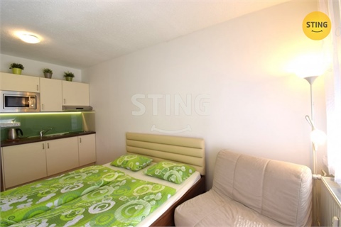 Pronájem bytu 1kk, 24 m² 4