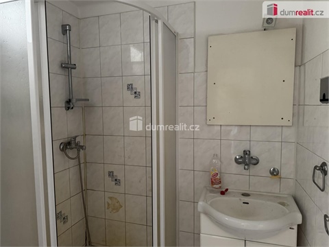 Prodej rodinného domu, 330 m² 8