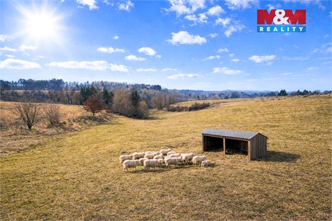 Prodej louky, 2 480 m² - 2