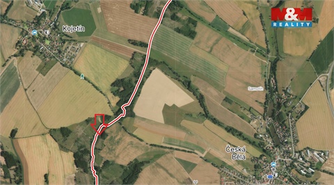 Prodej lesu, 1 126 m² - 2