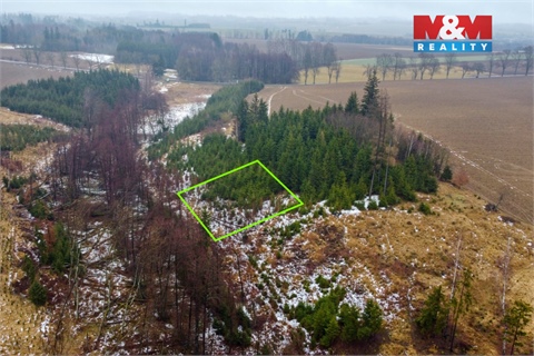 Prodej lesu, 1 126 m² - 0