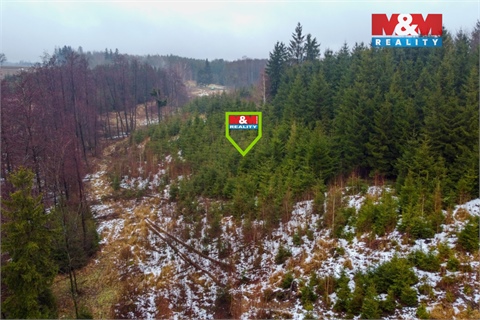 Prodej lesu, 1 126 m² 2