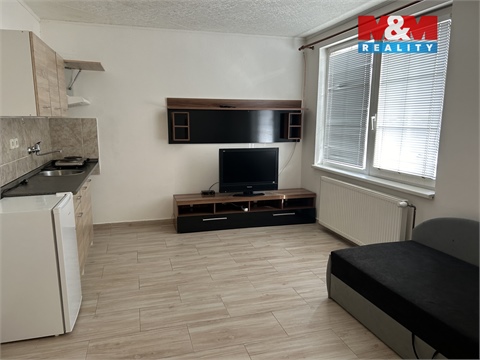 Pronájem bytu 1kk, 16 m² 4