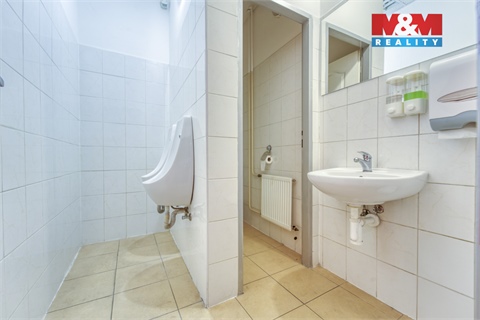 Pronájem obchodních prostor, 208 m² 12