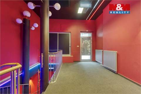 Pronájem obchodních prostor, 208 m² - 14