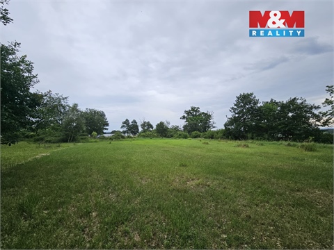 Prodej lesu, 7 985 m² - 0