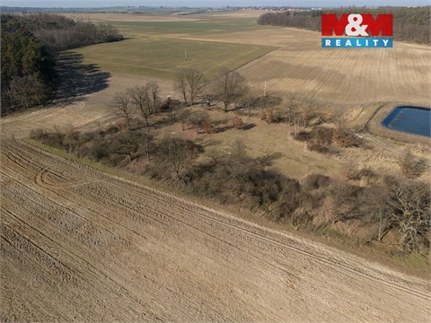 Prodej lesu, 7 985 m² - 2