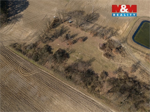 Prodej lesu, 7 985 m² - 4