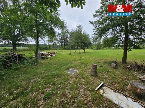 Prodej lesu, 7 985 m² - 2