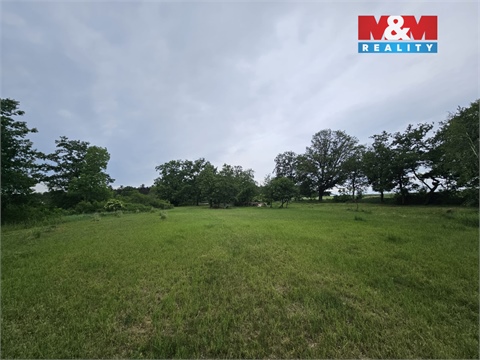 Prodej lesu, 7 985 m² 2