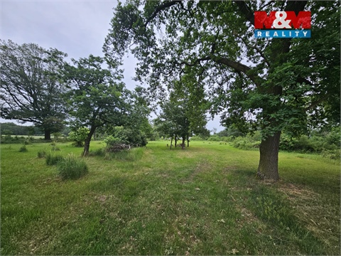 Prodej lesu, 7 985 m² 4