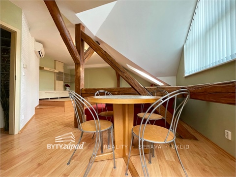 Pronájem bytu 1kk, 48 m² - 10