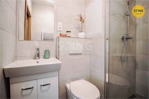 Pronájem bytu 1+1, 33 m² - 4