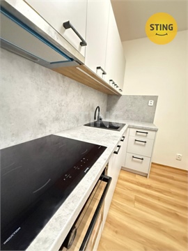 Pronájem bytu 2+1, 54 m² - 4