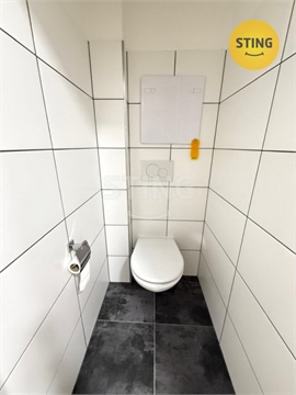 Pronájem bytu 2+1, 54 m² 8