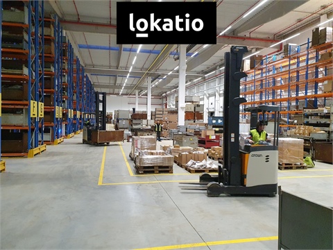 Pronájem skladu / haly, 2 000 m² - 0