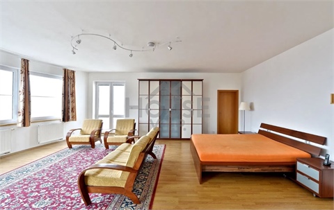 Pronájem vily, 839 m² 4