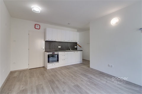 Pronájem bytu 2kk, 54 m² 12