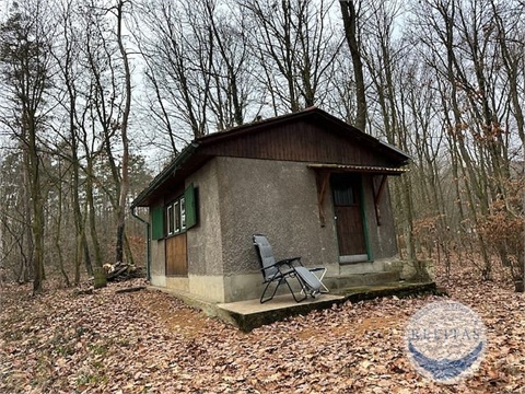 Prodej chaty / chapuly, 24 m² 10