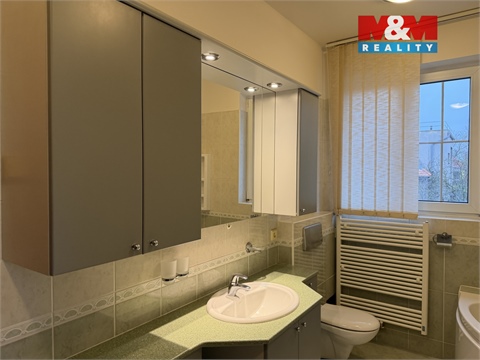 Pronájem rodinného domu, 291 m² 18