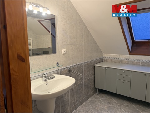 Pronájem rodinného domu, 291 m² - 22