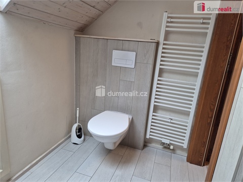 Pronájem bytu 2+1, 60 m² - 12