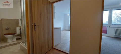 Pronájem bytu 2kk, 45 m² 8