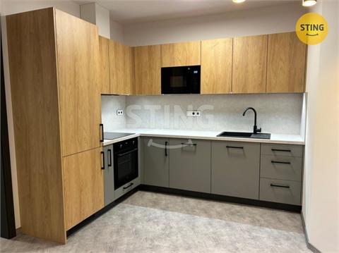 Pronájem bytu 2kk, 56 m² 0