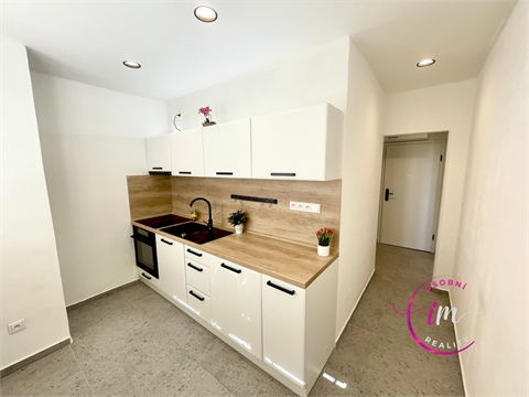 Pronájem bytu 2+1, 54 m² 0