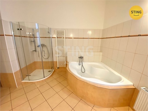 Pronájem bytu 3+1, 133 m² - 12
