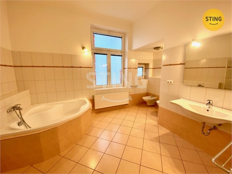 Pronájem bytu 3+1, 133 m² - 10