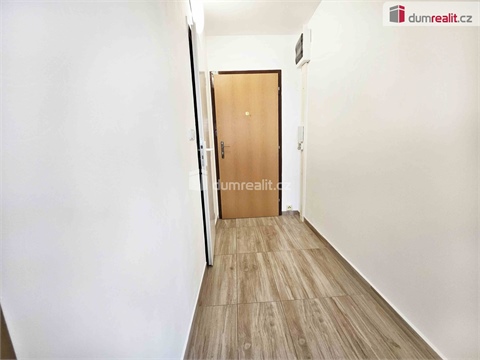 Pronájem bytu 1+1, 35 m² 10