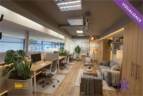 Pronájem obchodních prostor, 158 m² - 4