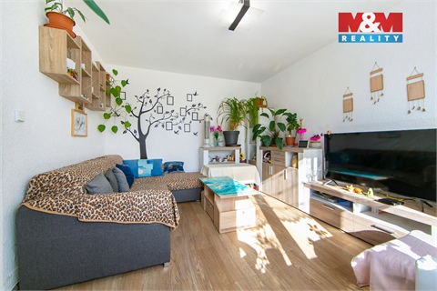 Prodej bytu 3+1, 85 m² 4