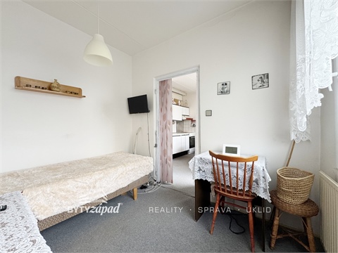 Pronájem bytu 1+1, 47 m² - 6