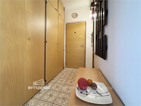 Pronájem bytu 1+1, 47 m² 10