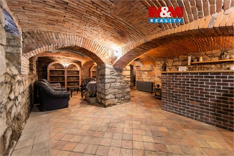 Pronájem obchodních prostor, 48 m² 0