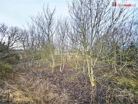 Prodej zemědělské půdy, 1 549 m² 2