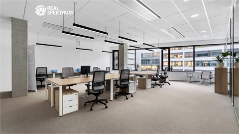 Pronájem kanceláře, 240 m² - 0
