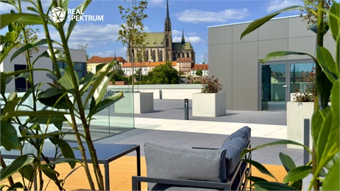 Pronájem kanceláře, 830 m² - 4