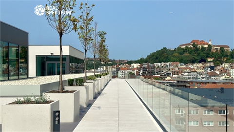 Pronájem kanceláře, 1 500 m² - 20