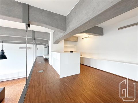 Pronájem bytu 1kk, 114 m² 4