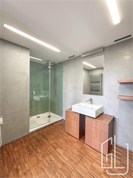 Pronájem bytu 1kk, 114 m² 6