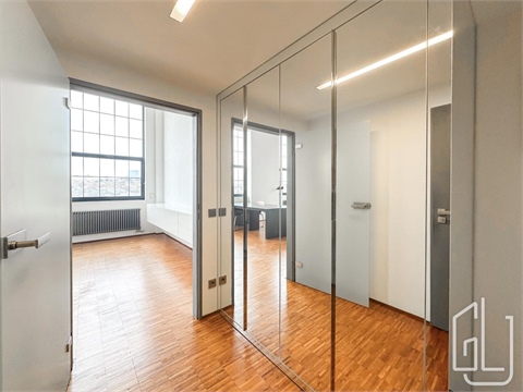 Pronájem bytu 1kk, 114 m² - 8