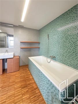 Pronájem bytu 1kk, 114 m² - 6