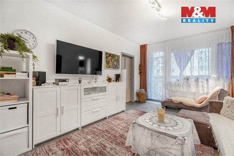 Prodej bytu 3+1, 75 m² 8