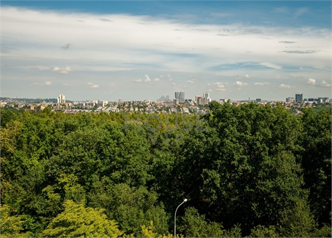 Prodej bytu 3+1, 76 m² 18