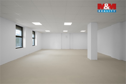 Pronájem obchodních prostor, 780 m² - 8