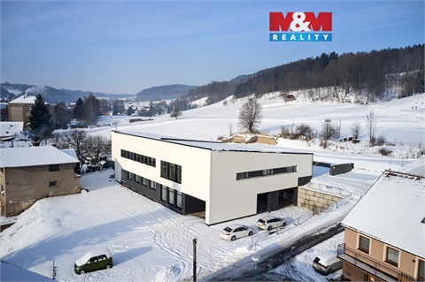 Pronájem obchodních prostor, 780 m²